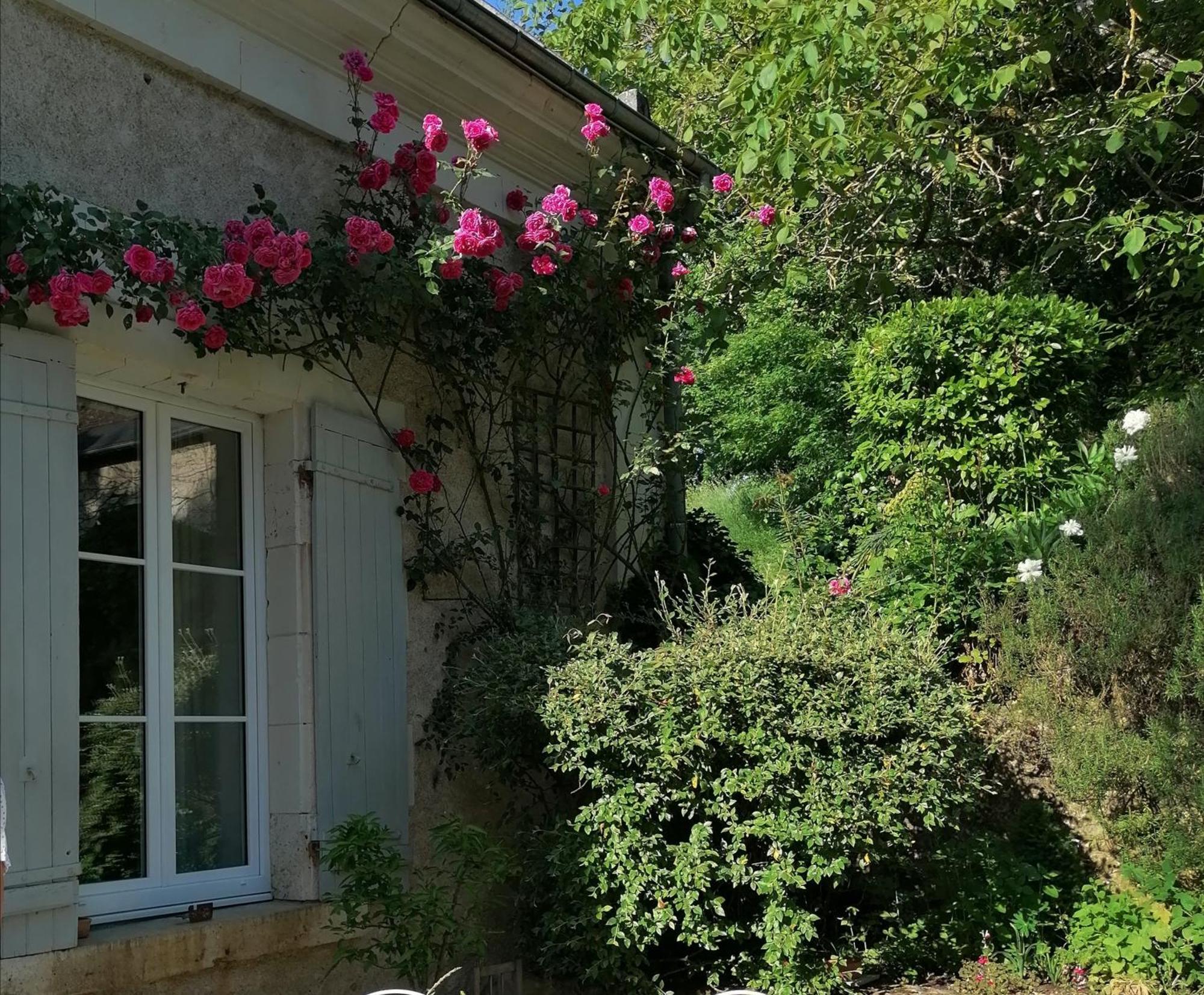 Le Moulin Du Mesnil Bed and Breakfast Saint-Georges-sur-Cher Buitenkant foto